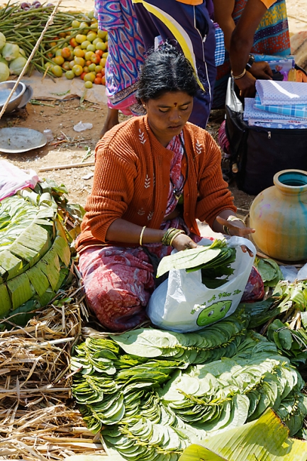 Karnataka-Marché en route-004
